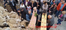 Πανηγύρισε το εξωκλήσι του Αγίου Γεωργίου στο Αργυρομούρι Εξώπολης  κι ευλογήθηκαν τα πρόβατα (Και βίντεο)