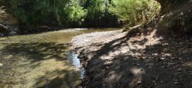 Ανησυχητικό φαινόμενο η χαμηλή στάθμη των νερών του Κοιλιάρη ποταμού